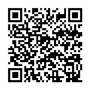 Lien vers votre campagne QRCode - Collecte de fonds