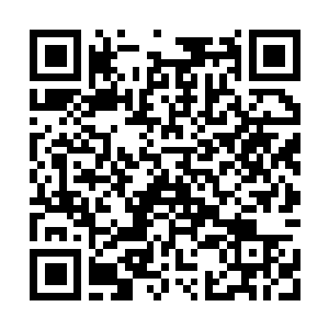 Lien vers votre campagne QRCode - Collecte de fonds
