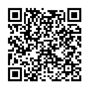 Lien vers votre campagne QRCode - Collecte de fonds