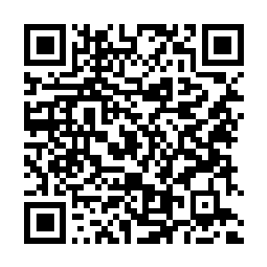 Lien vers votre campagne QRCode - Collecte de fonds