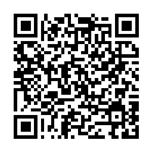 Lien vers votre campagne QRCode - Collecte de fonds