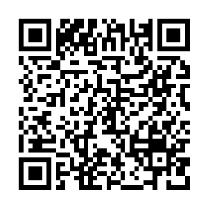 Lien vers votre campagne QRCode - Collecte de fonds