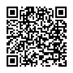 Lien vers votre campagne QRCode - Collecte de fonds