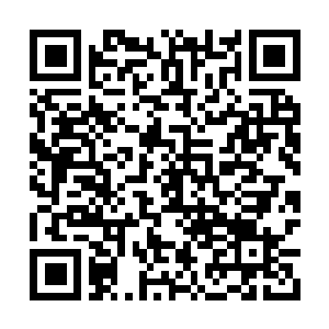 Lien vers votre campagne QRCode - Collecte de fonds