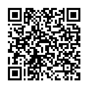 Lien vers votre campagne QRCode - Collecte de fonds
