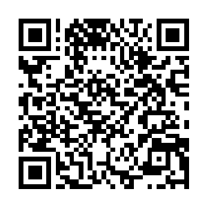 Lien vers votre campagne QRCode - Collecte de fonds