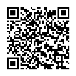 Lien vers votre campagne QRCode - Collecte de fonds