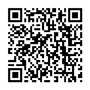 Lien vers votre campagne QRCode - Collecte de fonds