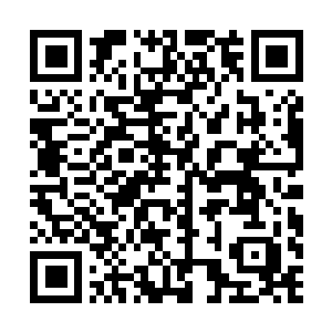 Lien vers votre campagne QRCode - Collecte de fonds