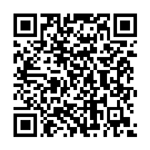 Link to your fundraiser QRCode - Fundraising