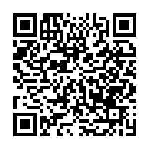 Link to your fundraiser QRCode - Fundraising