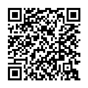 Link to your fundraiser QRCode - Fundraising