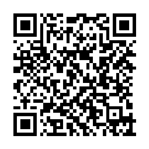 Link to your fundraiser QRCode - Fundraising