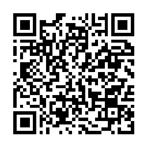 Link to your fundraiser QRCode - Fundraising