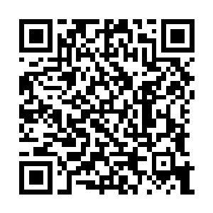Link to your fundraiser QRCode - Fundraising