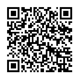 Link to your fundraiser QRCode - Fundraising