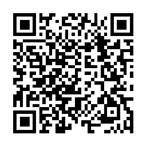 Link to your fundraiser QRCode - Fundraising