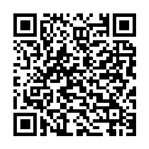 Link to your fundraiser QRCode - Fundraising