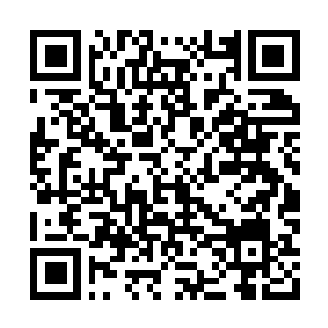 Link to your fundraiser QRCode - Fundraising