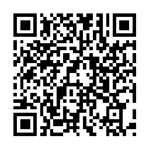 Link to your fundraiser QRCode - Fundraising
