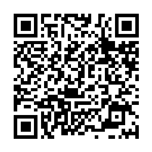 Link to your fundraiser QRCode - Fundraising