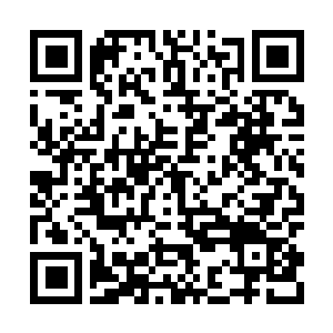 Link to your fundraiser QRCode - Fundraising