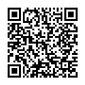 Link to your fundraiser QRCode - Fundraising