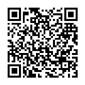 Link to your fundraiser QRCode - Fundraising