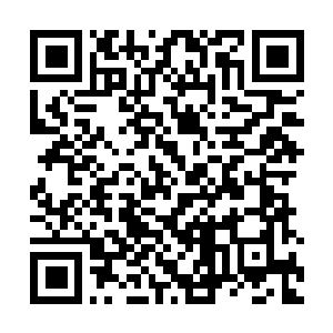 Link to your fundraiser QRCode - Fundraising