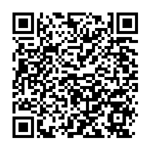 Link to your fundraiser QRCode - Fundraising