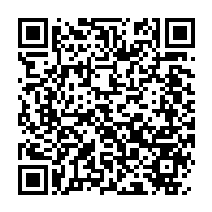 Link to your fundraiser QRCode - Fundraising