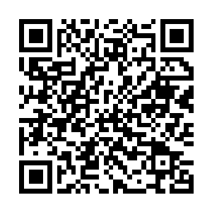Link to your fundraiser QRCode - Fundraising