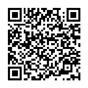 Link to your fundraiser QRCode - Fundraising