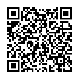 Link to your fundraiser QRCode - Fundraising