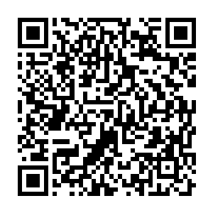 Link to your fundraiser QRCode - Fundraising