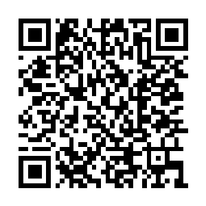 Link to your fundraiser QRCode - Fundraising