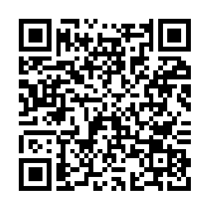 Link to your fundraiser QRCode - Fundraising
