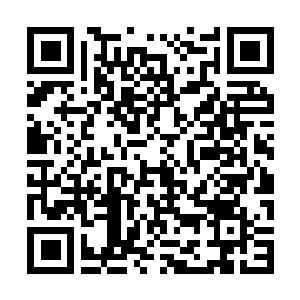 Link to your fundraiser QRCode - Fundraising