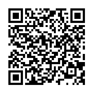 Link to your fundraiser QRCode - Fundraising
