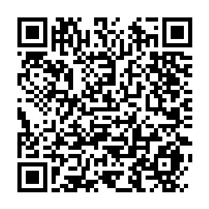 Link to your fundraiser QRCode - Fundraising