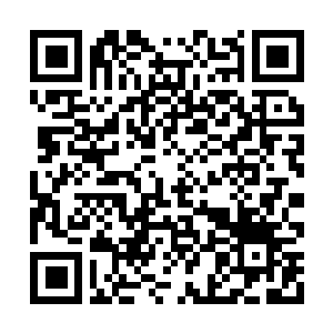 Link to your fundraiser QRCode - Fundraising