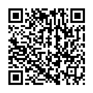 Link to your fundraiser QRCode - Fundraising