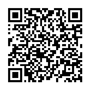 Link to your fundraiser QRCode - Fundraising