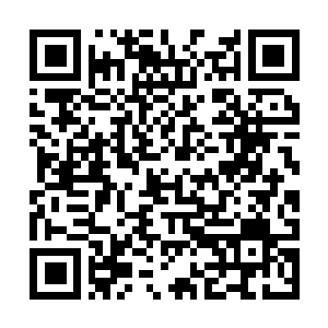 Link to your fundraiser QRCode - Fundraising