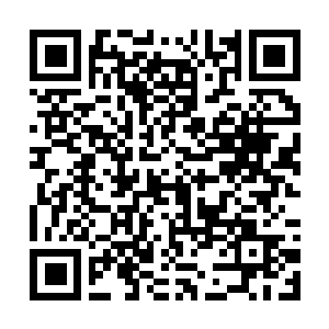 Link to your fundraiser QRCode - Fundraising
