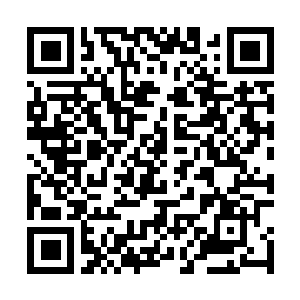 Link to your fundraiser QRCode - Fundraising
