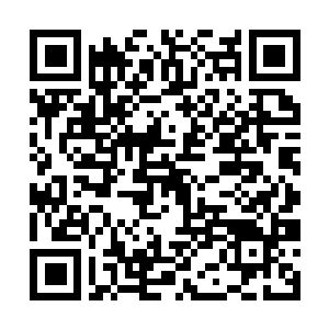 Link to your fundraiser QRCode - Fundraising