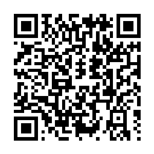 Link to your fundraiser QRCode - Fundraising