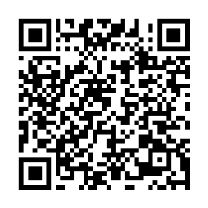 Link to your fundraiser QRCode - Fundraising