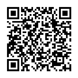 Link to your fundraiser QRCode - Fundraising